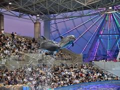 Port of Nagoya Public Aquarium Golden Week Night Aquarium