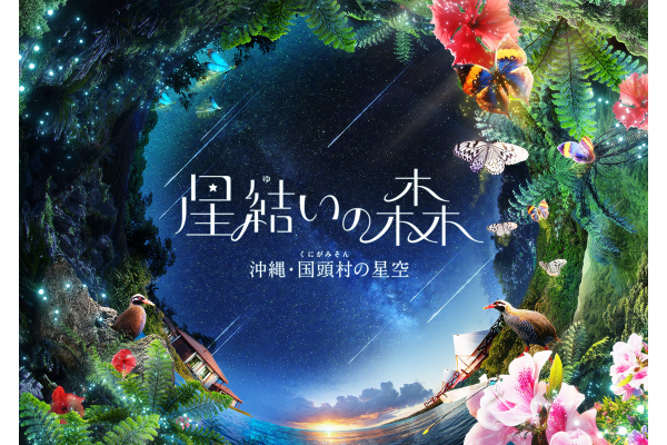 星結いの森-沖縄・国頭村の星空-
