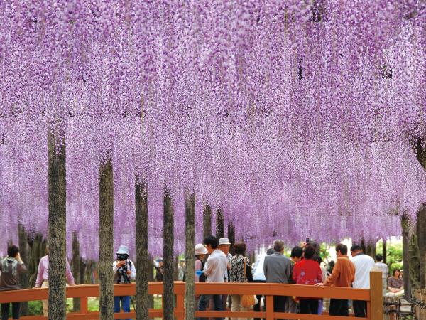 津岛天王川公园及其周边