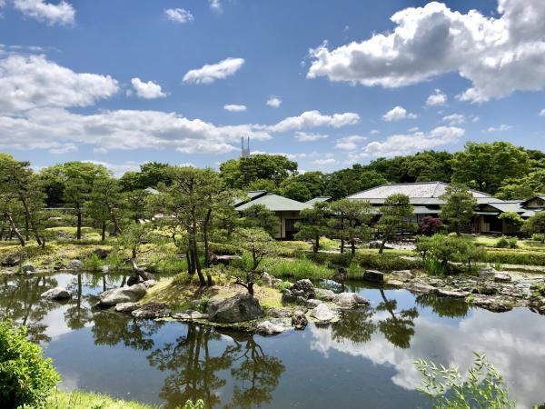 白鳥庭園 春浪漫