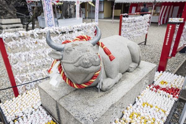 山田天満宮 撫で牛