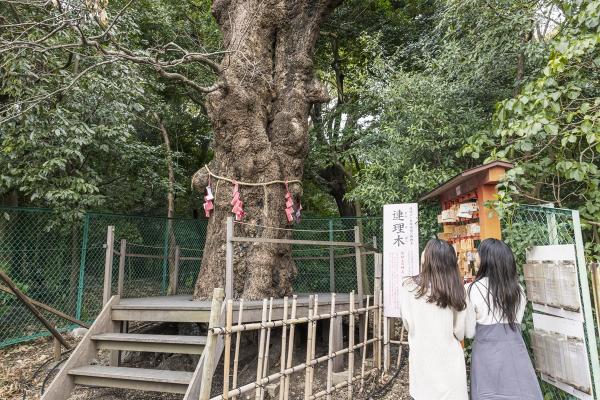 城山八幡宮 恋の三社めぐり